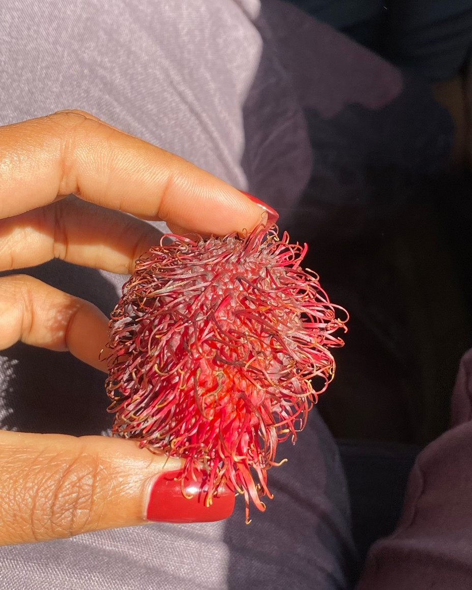 Rambutan - 500gram